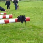Club Canin de Watten club_canin_photo_avril_2012