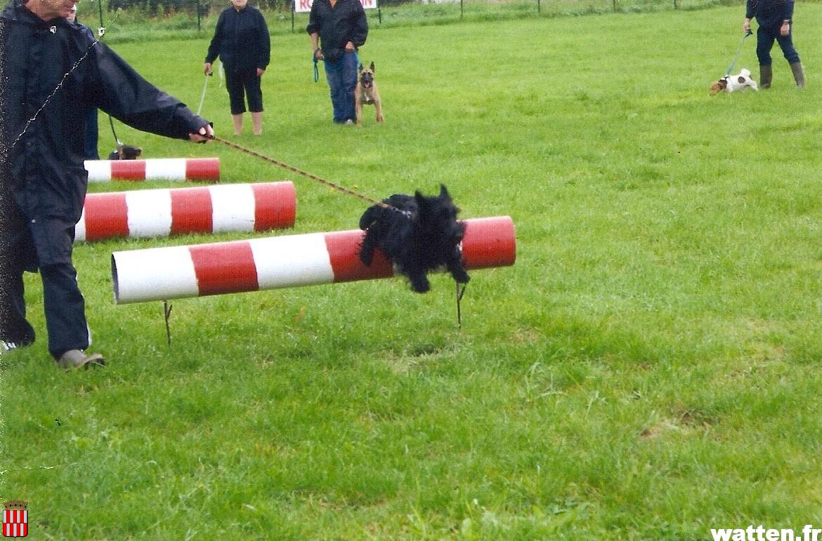 Club Canin de Watten