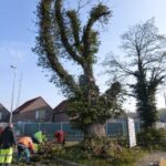Travaux de taille sanitaire et d'abattage de 2 arbres rue de la Gare par le SIVOM