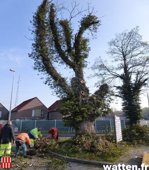 Travaux de taille sanitaire et d’abattage de 2 arbres rue de la Gare par le SIVOM