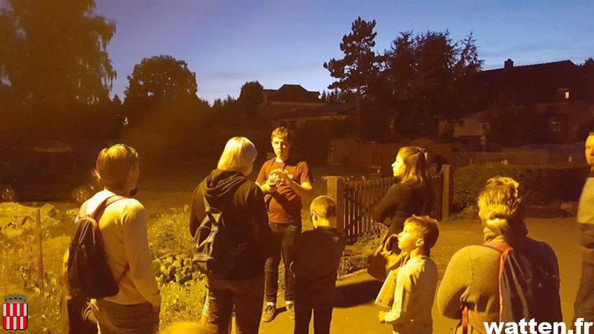 Une nuit de la chauve-souris qui a ravi les visiteurs nocturnes!