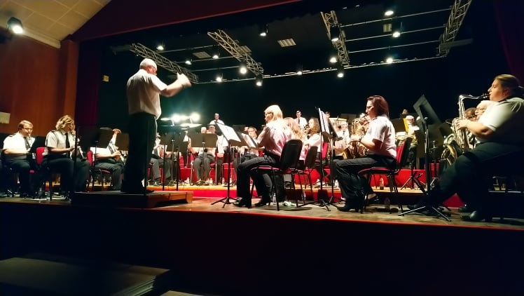 Le Concert de la Sainte-Cécile 2019 au profit du Téléthon!