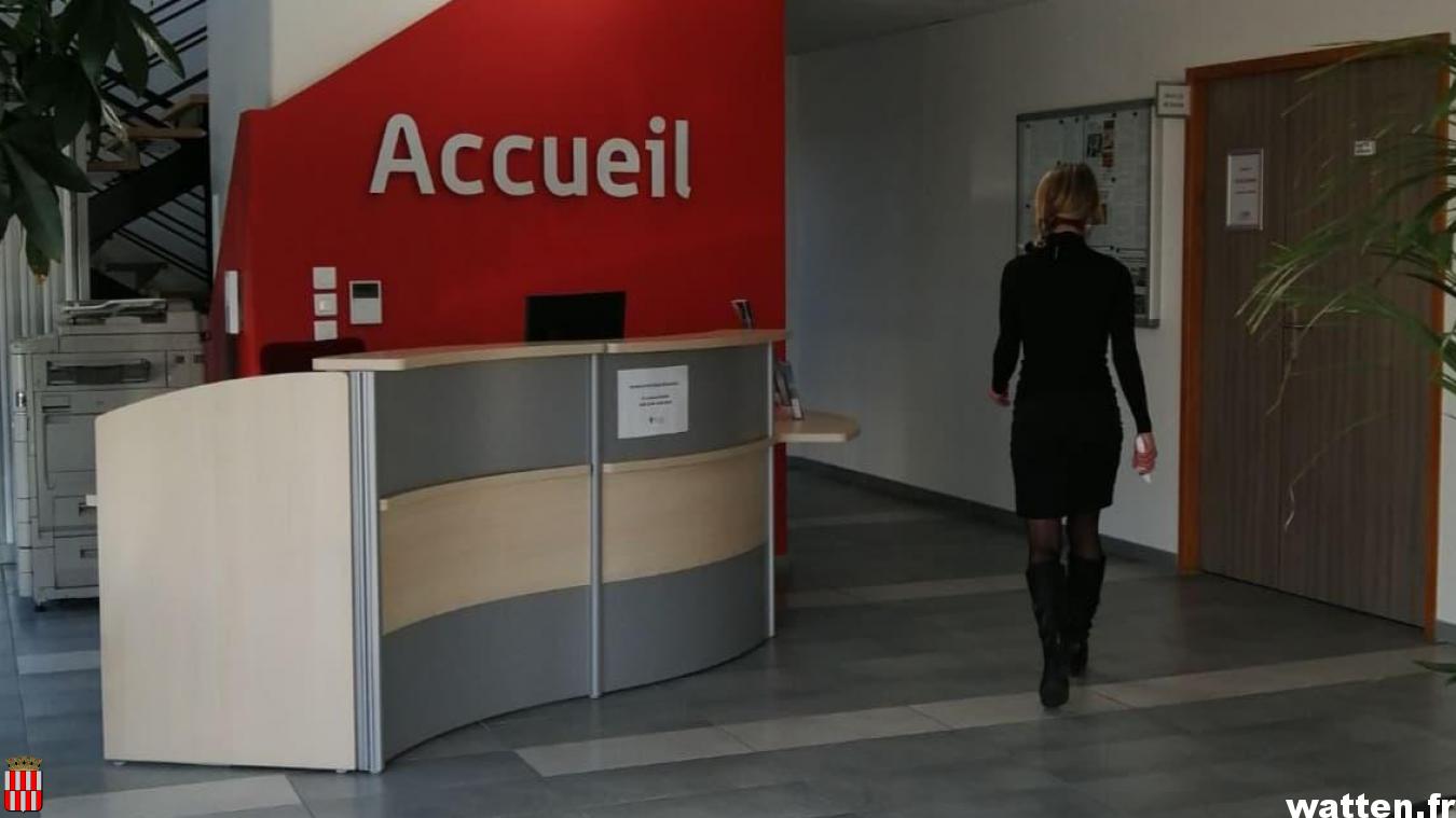 Eclosoir entreprises CCHF illustration