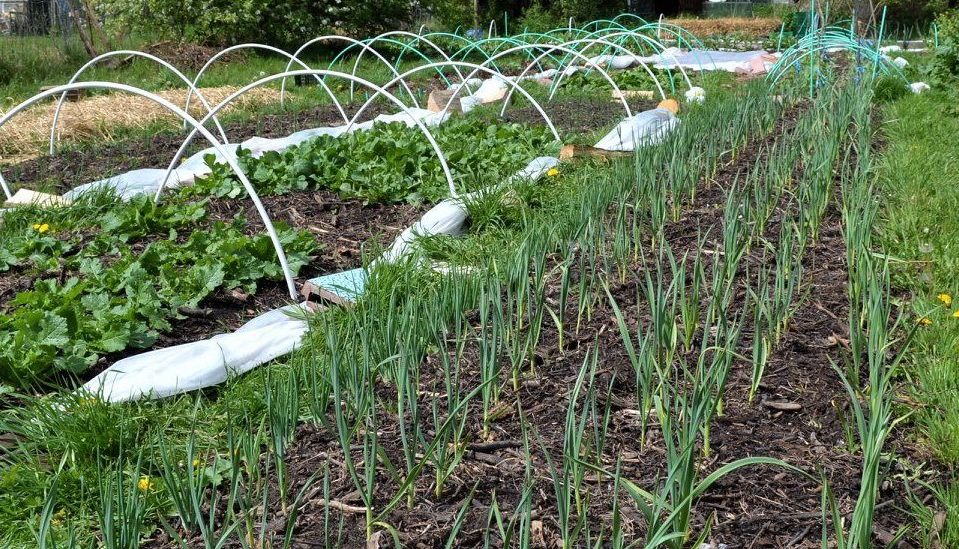 Colme Les-Jardins-de-la-Colme-2 – Watten