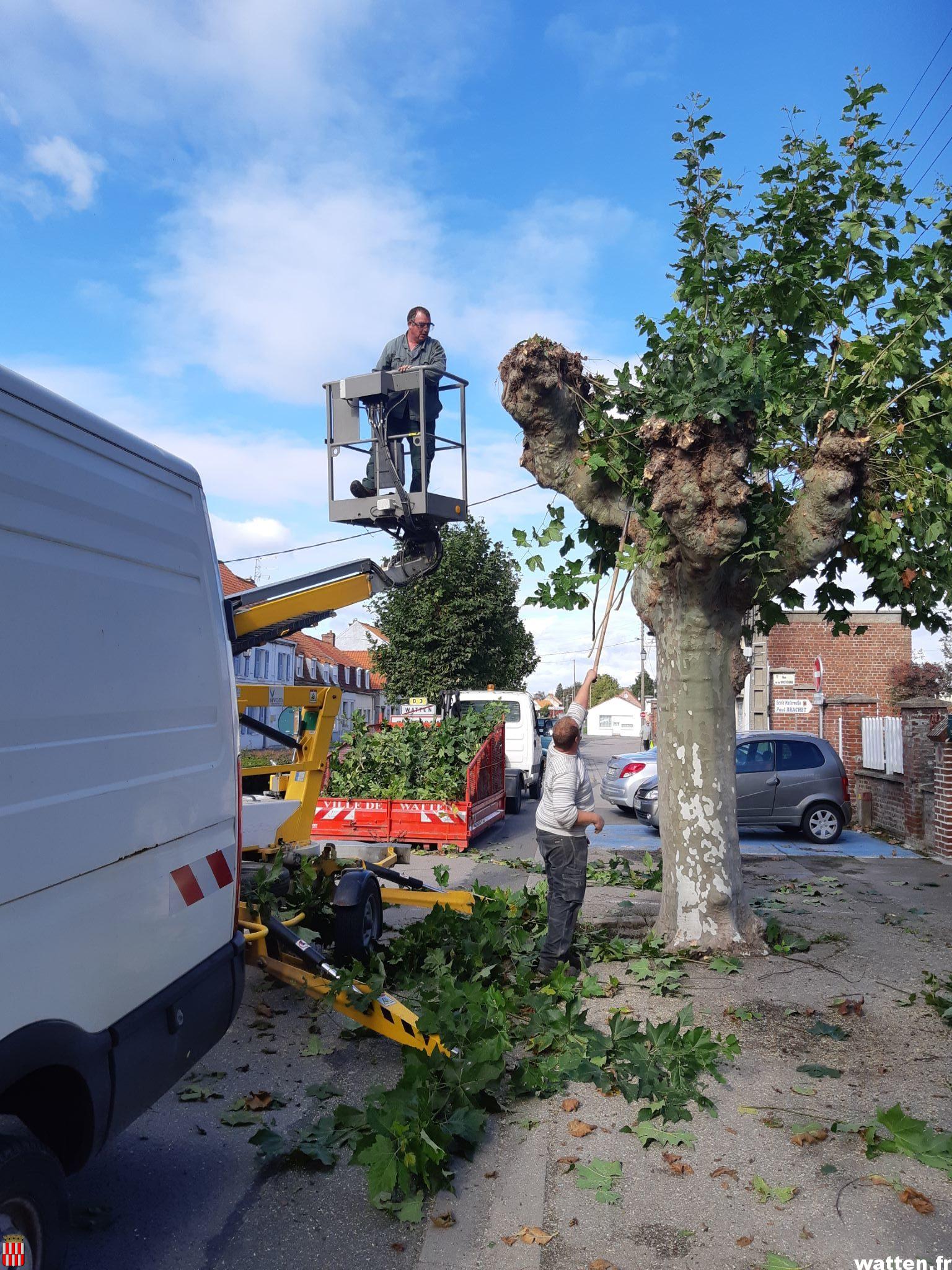 Campagne 2020 des travaux d’élagage (SIVOM)