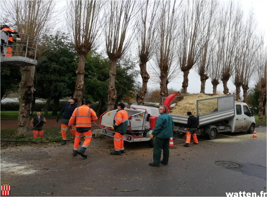 Campagne d’élagage 2020 (SIVOM)