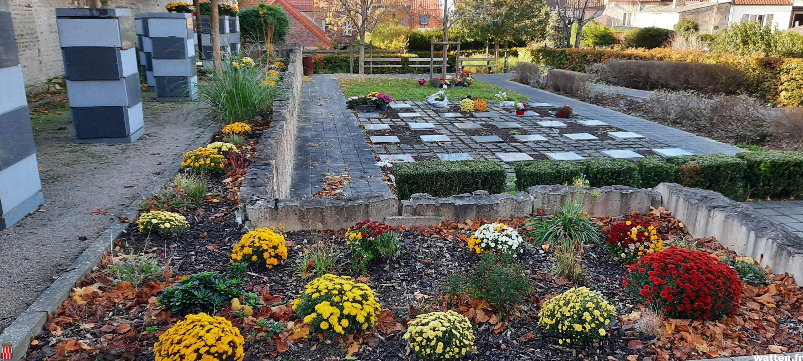 Fleurissement: merci à Auchan Longuenesse et Netto Watten
