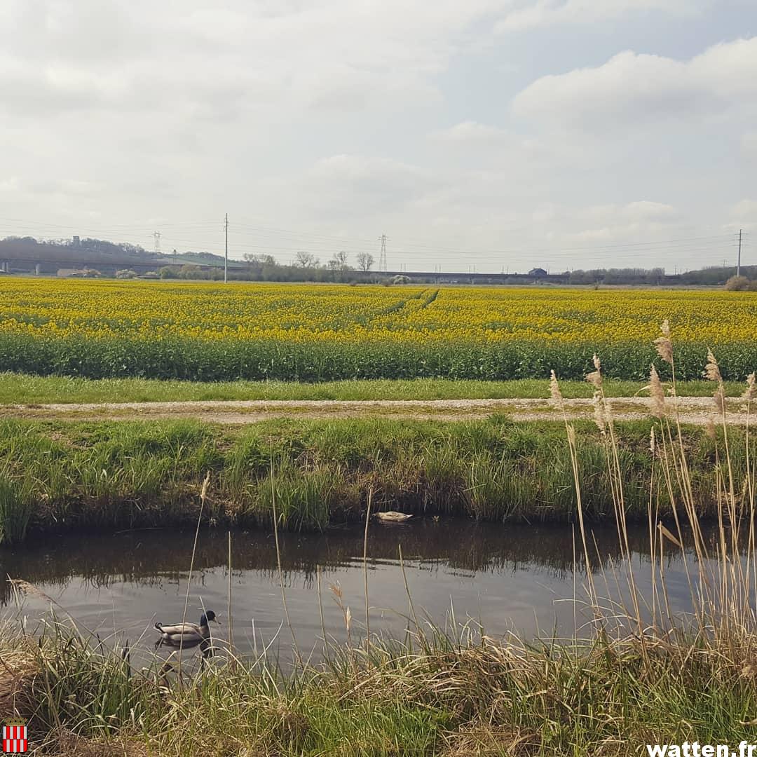 Les Rivages de la Colme (Watten-Millam)
