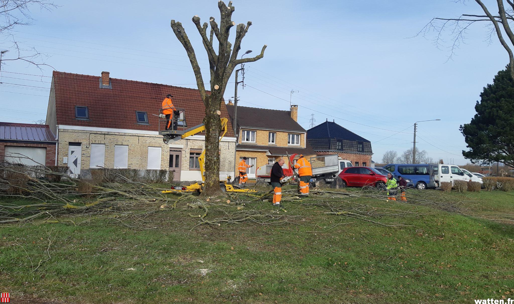 Travaux d’élagage rue de la Colme par le Sivom des Rives de l’Aa et de la Colme