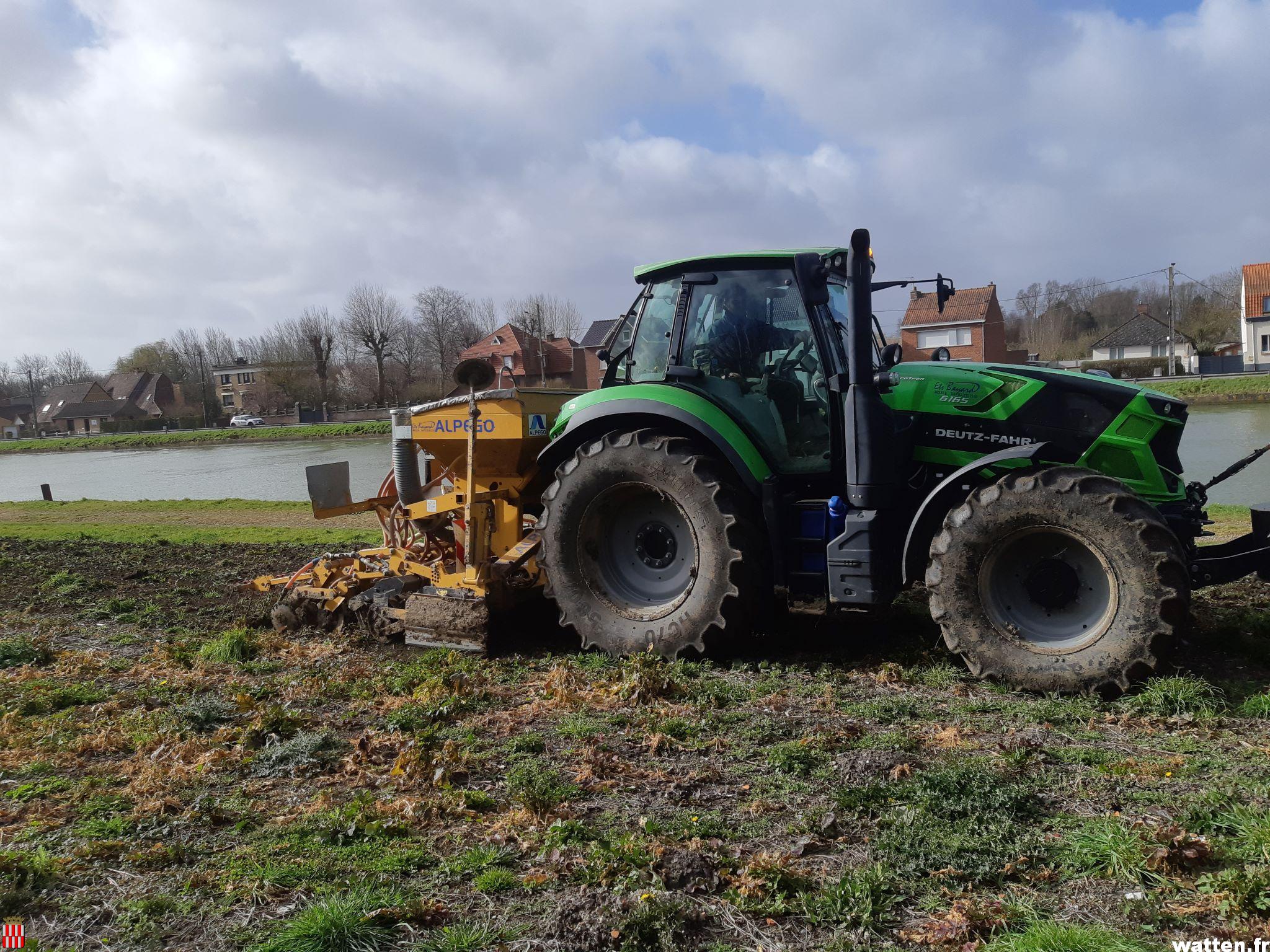 Engazonnement rue de l’Ermitage