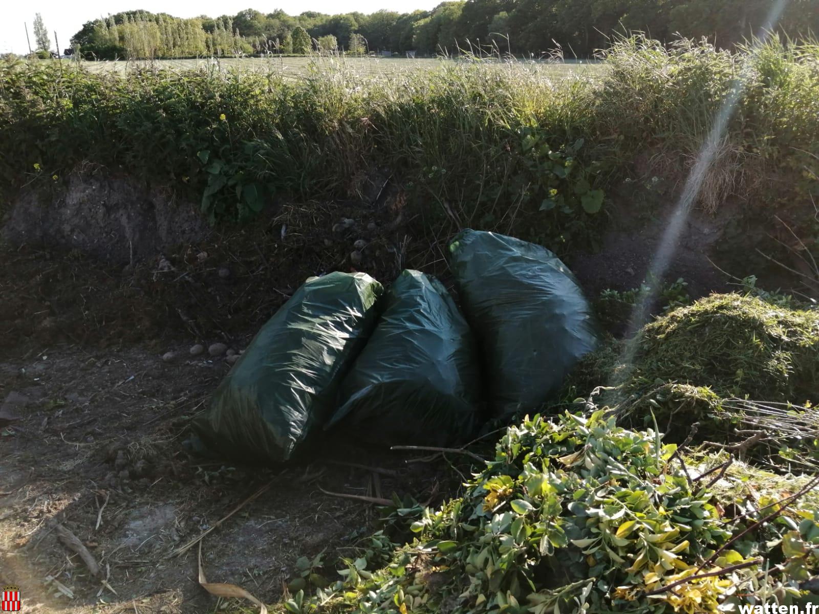 Que faire en présence d’un terrain non entretenu (en friche ou avec gravats)?