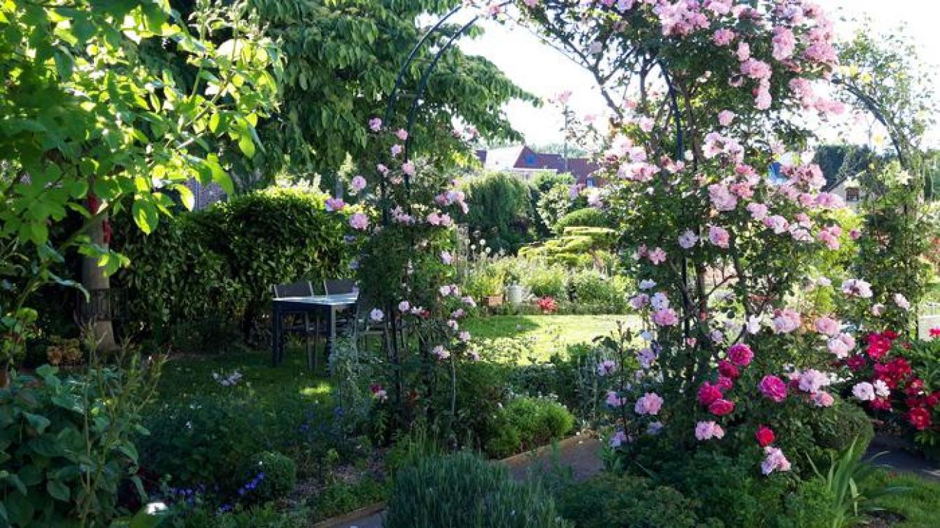 Jardin extraordinaire Marie-Josée Diers Watten Journal des Flandres