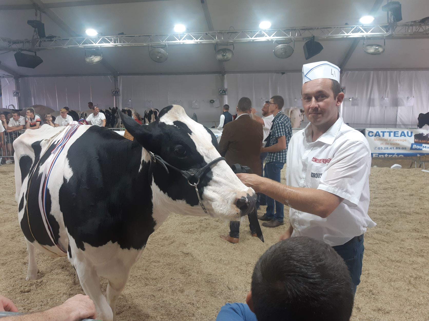 Nos éleveurs ont du talent: nombreux prix pour l’EARL Dambricourt à la foire d’Hazebrouck