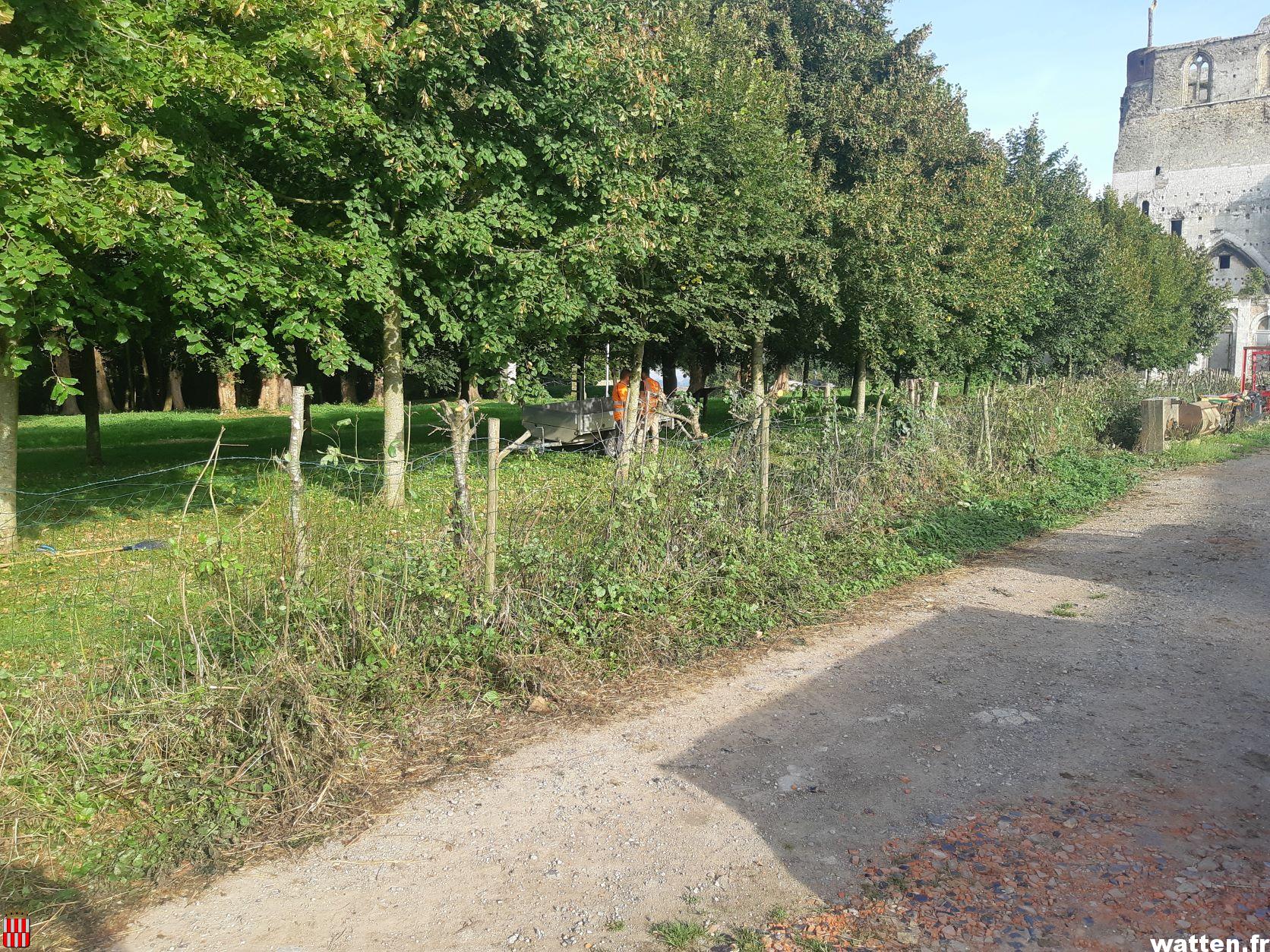 Travaux d’entretien des haies de l’abbaye avec l’AIPI