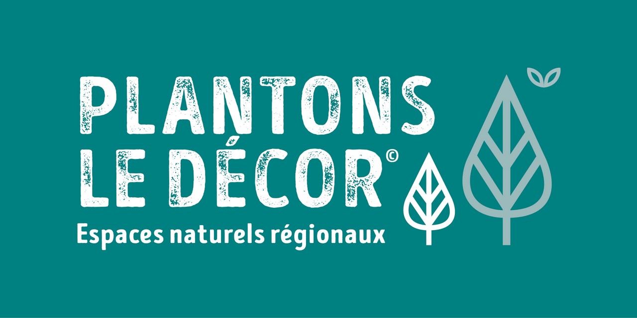 Opération « Plantons le décor »