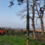 Travaux à l'espace René Degraeve: élagage et pose d'un projecteur