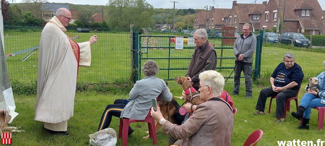 Une bénédiction des animaux très suivie