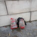 2023-09 déchets verts Watten (1)