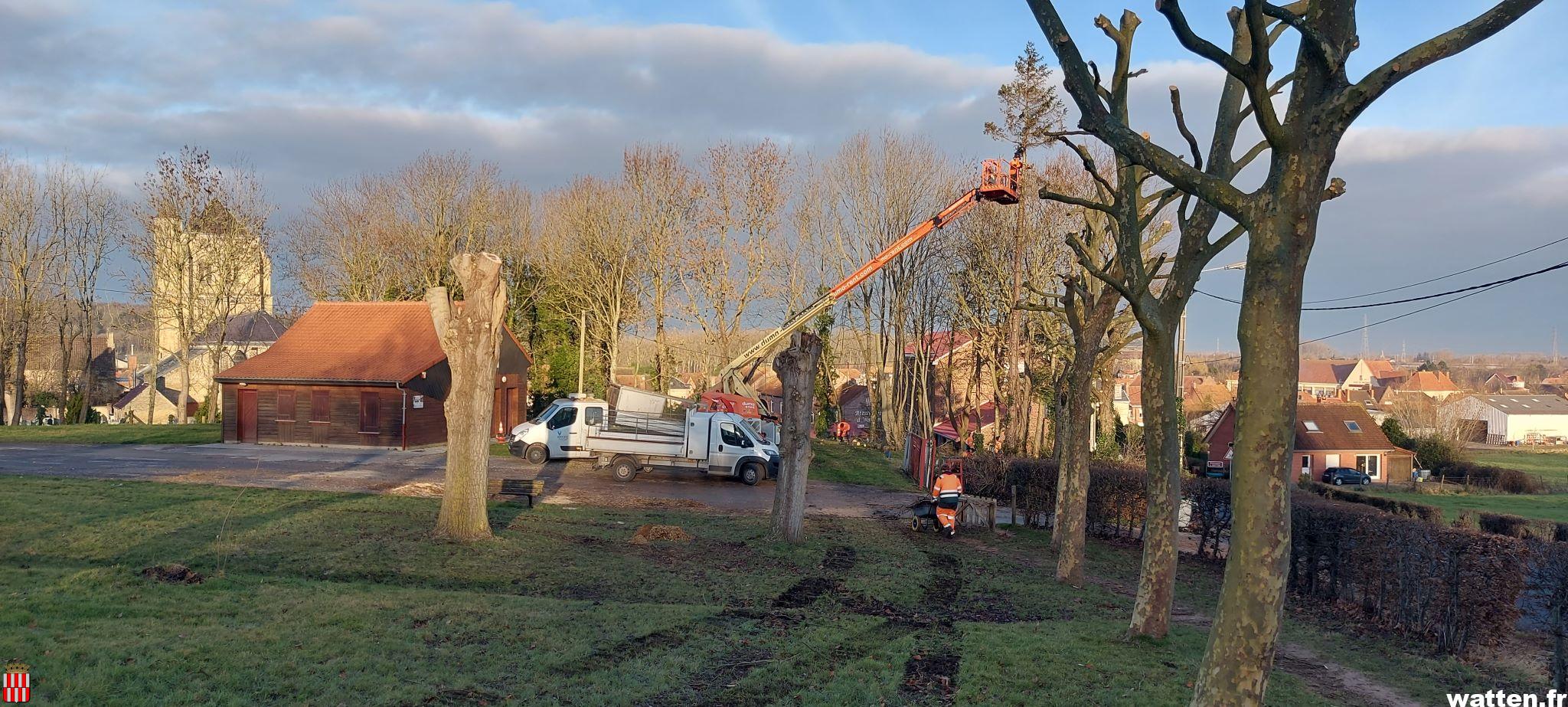 Travaux d’élagage espace René Degraeve