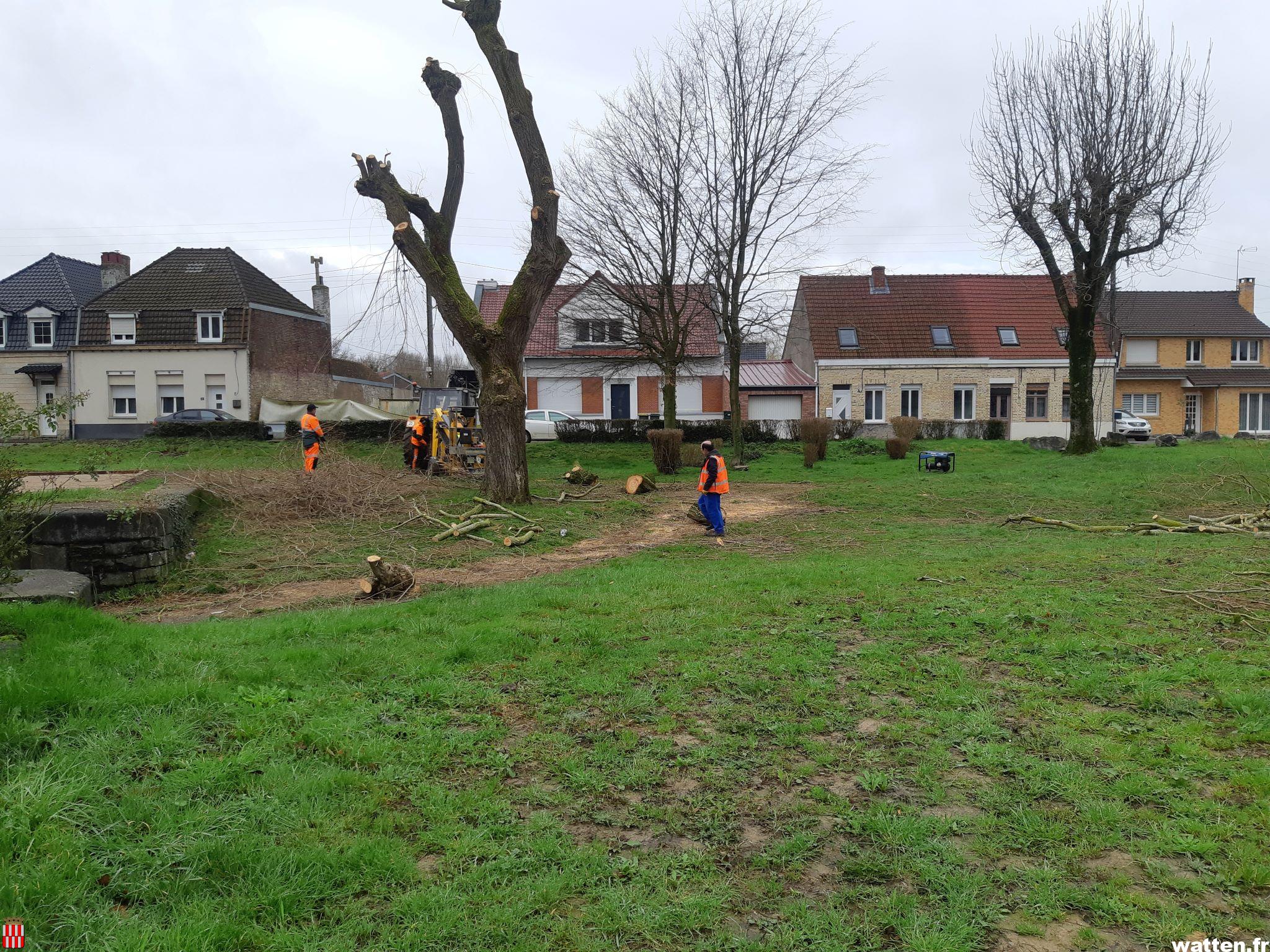 Travaux d’élagage rue de la Colme