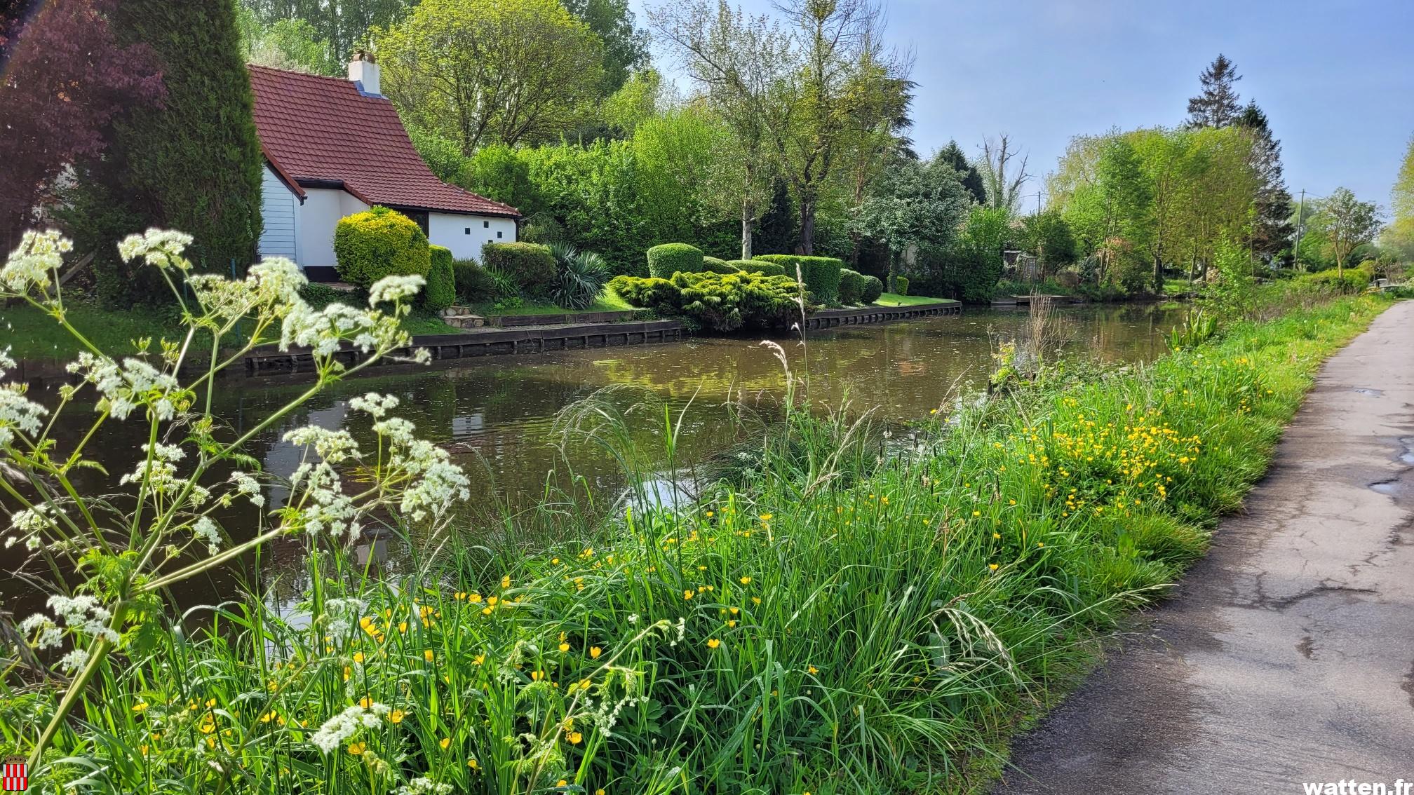 Randonnée des Nénuphars sur la Houlle