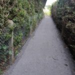 Travaux pose aquadrain terrain FOH rue des Marguerites juin 2024 (20)