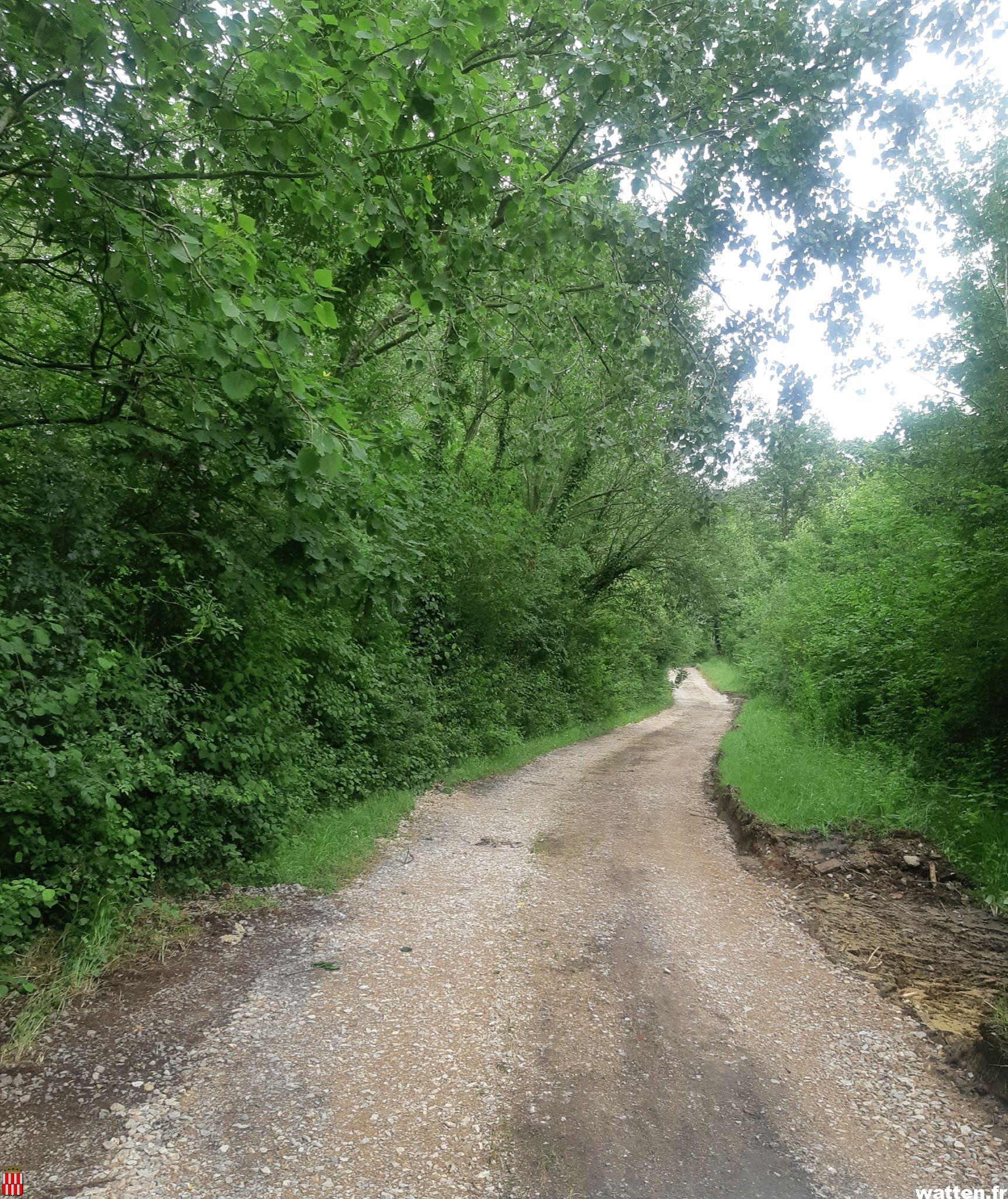 Remise en état de la rue du Bois par la CCHF