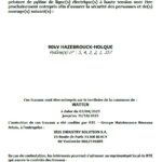 2025-04-03 travaux peinture pylones HT