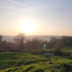 Site du moulin et de l’abbaye de Watten en mars 2025 (34)