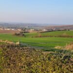 Site du moulin et de l’abbaye de Watten en mars 2025 (6)