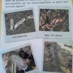 Visite du CMJ au SIROM mars 2025 (12)