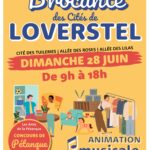 2026-06-28 brocante de Loverstel