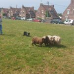 WATTEN BENEDICTION DES ANIMAUX 2025 2