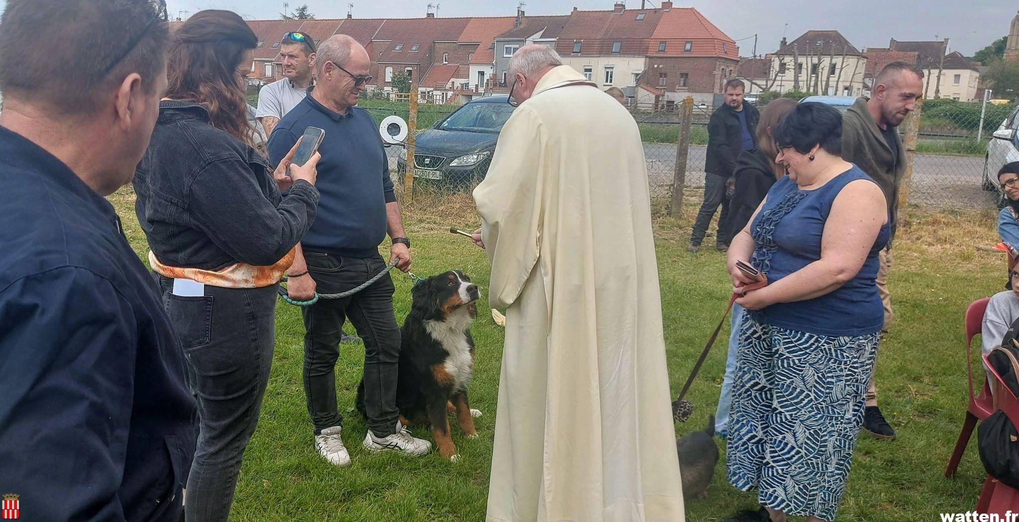 Une bénédiction des animaux très suivie