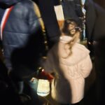 2025-11-07 Saint Martin photo Watt’en fête (11)