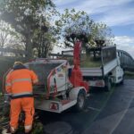 2025-11-18 élagage Sivom Aa-Colme Watten (1)