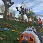 2025-11-18 élagage Sivom Aa-Colme Watten (2)