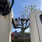 2025-11-18 élagage Sivom Aa-Colme Watten (3)