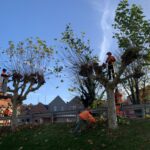 2025-11-18 élagage Sivom Aa-Colme Watten (4)