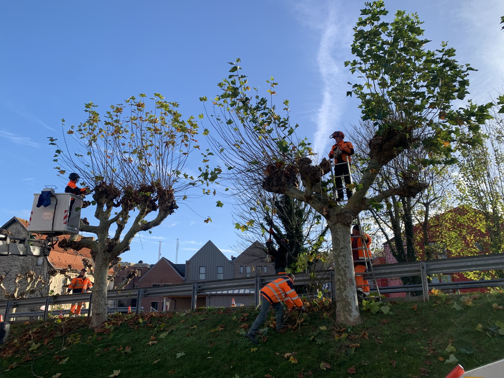 Campagne d’élagage (Sivom et agents de la commune)