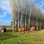 Travaux d'élagage aux jardins partagés avec le SIVOM 2026-01-23 élagage jardins partagés SIVOM Ville de Watten 2