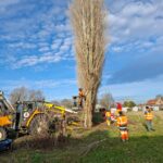 2026-01-23 élagage jardins partagés SIVOM Ville de Watten 3