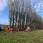 2026-01-23 élagage jardins partagés SIVOM Ville de Watten 4