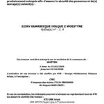 Mise en peinture de pylônes électriques par RTE 2026-02-23 mise en peinture pylone RTE