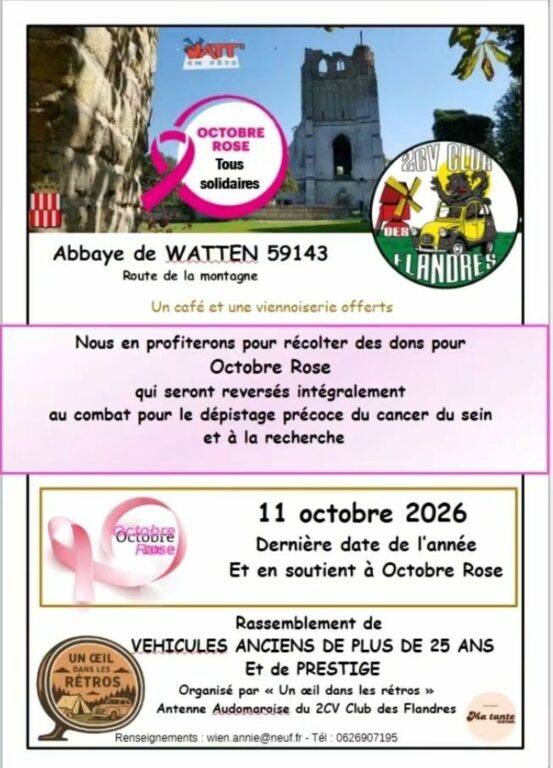 Exposition de voitures anciennes par le 2 CV Club des Flandres