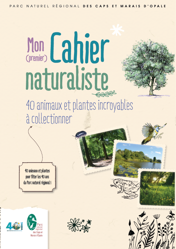 Mon Cahier naturaliste : collectionnez 40 plantes et animaux incroyables en Caps et Marais d&rsquo;Opale