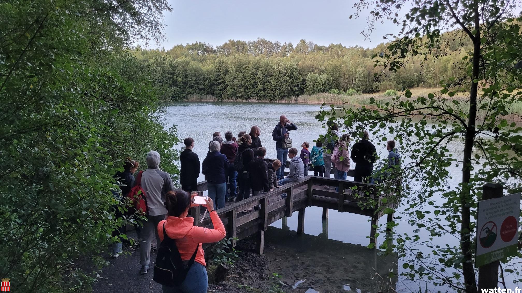 A la découverte des chauves-souris au Lac Bleu au crépuscule