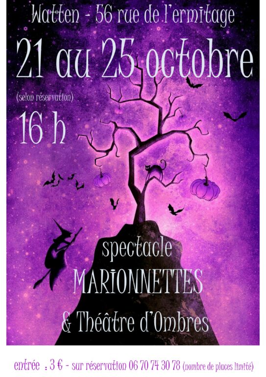 Spectacle de marionnettes et théâtre d’ombres