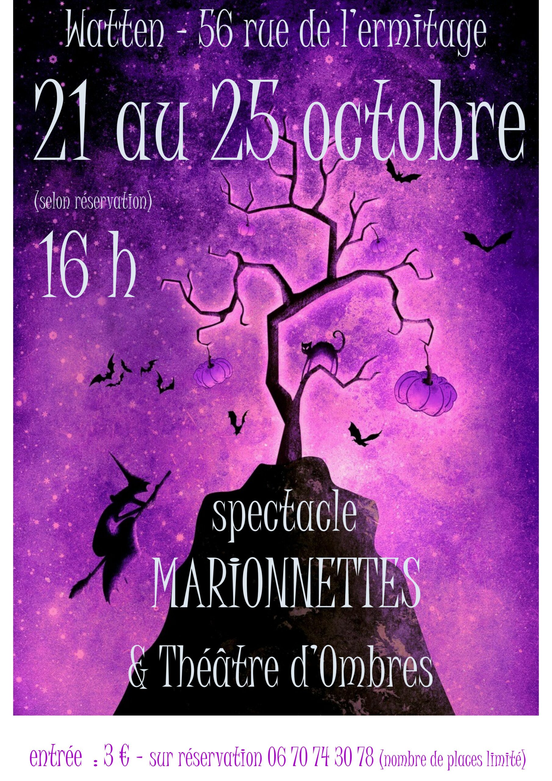 Spectacle de marionnettes et théâtre d’ombres